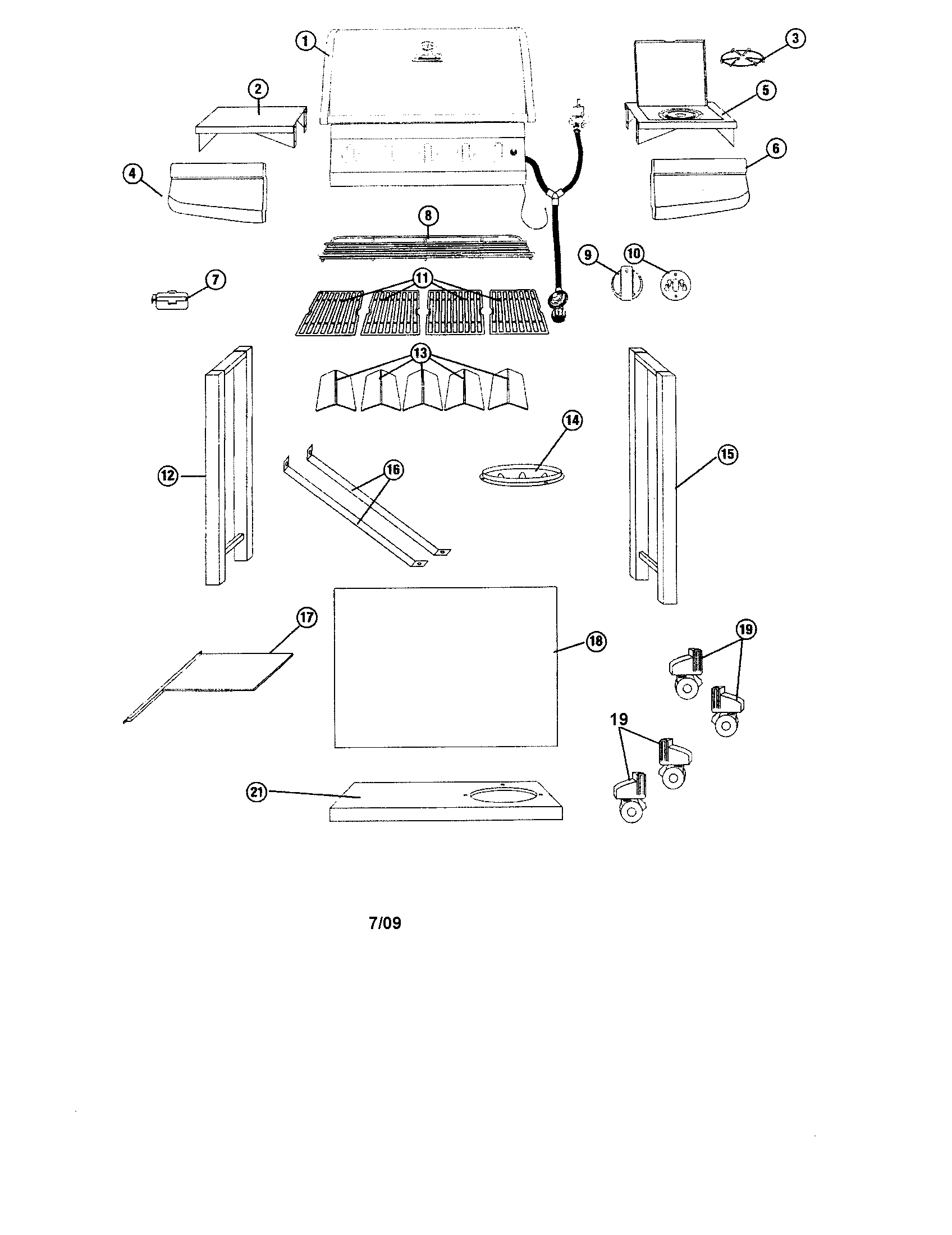 Gas grill