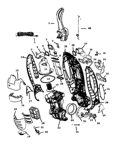 Main body