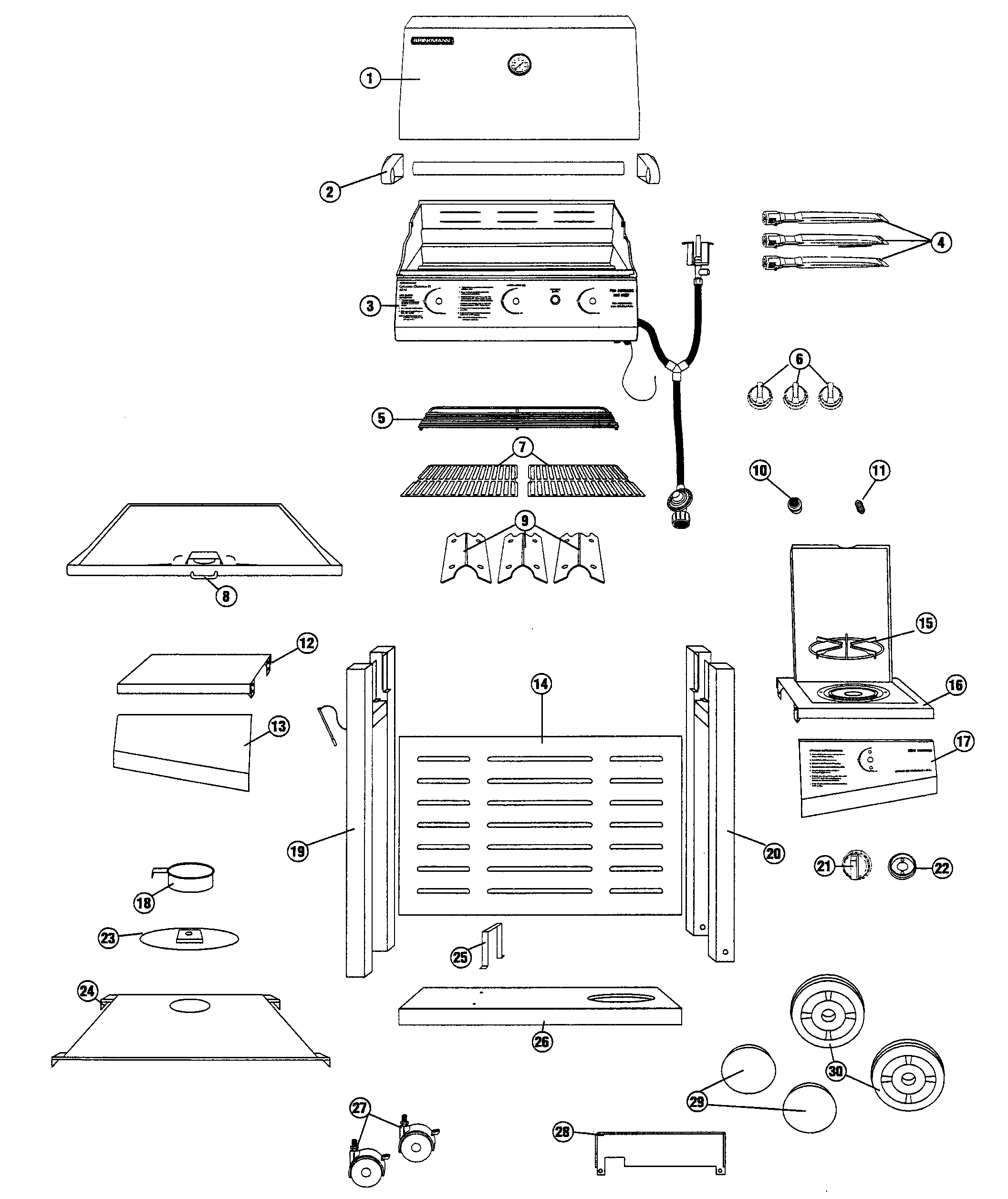 GAS GRILL