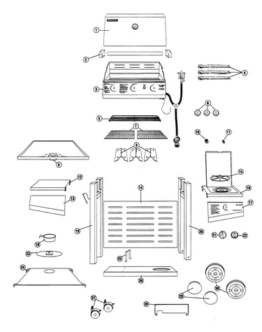 Gas grill