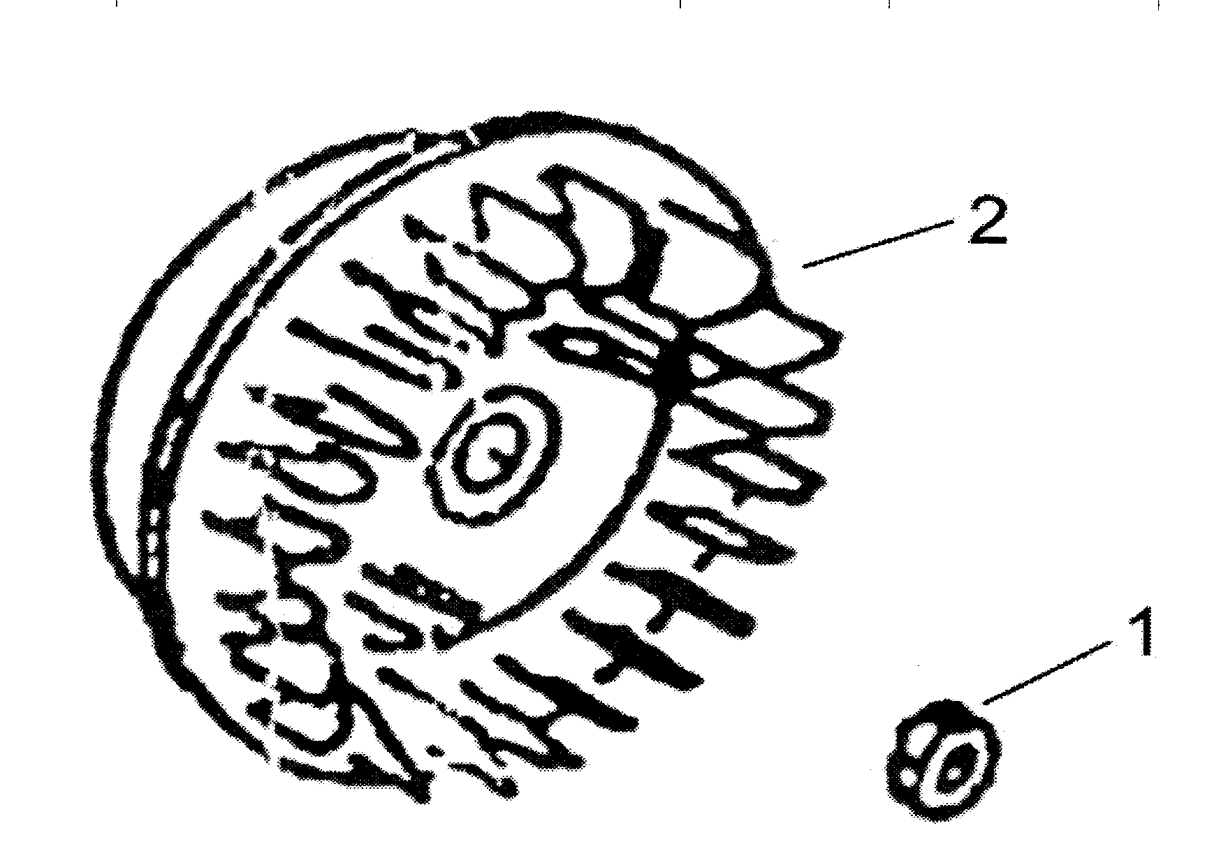 Flywheel