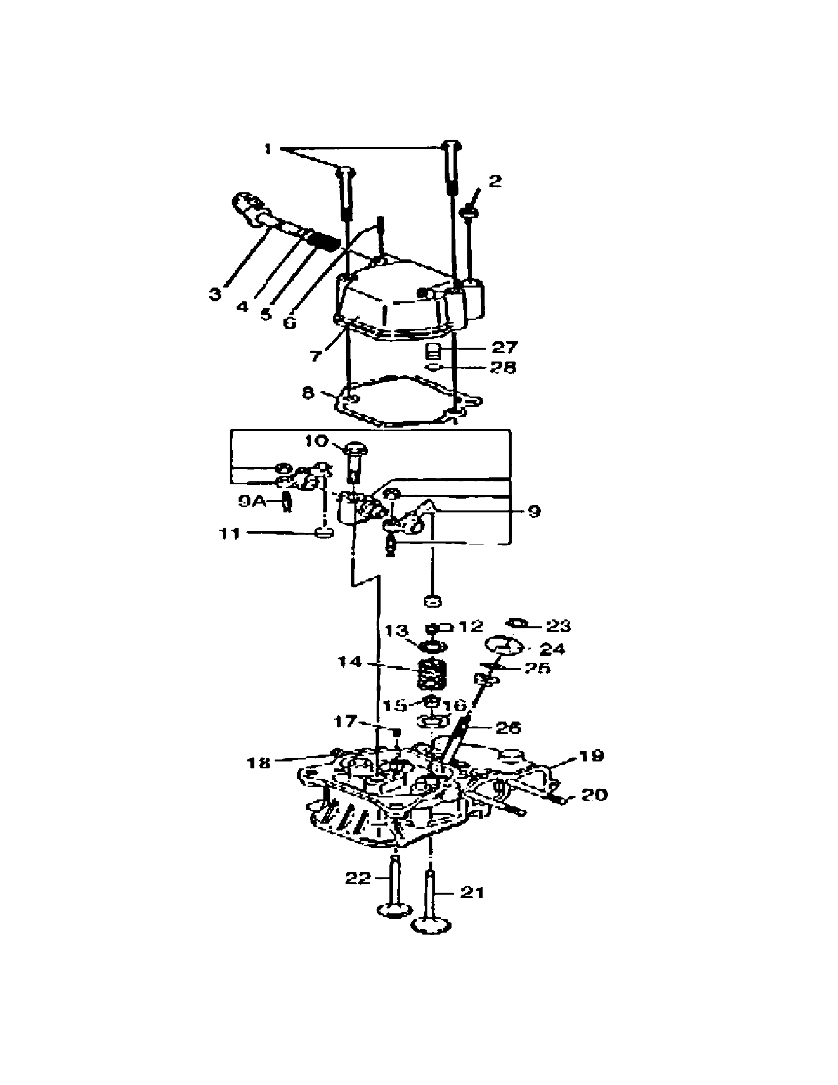 Manifold intake