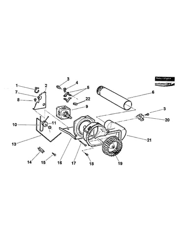 Motor