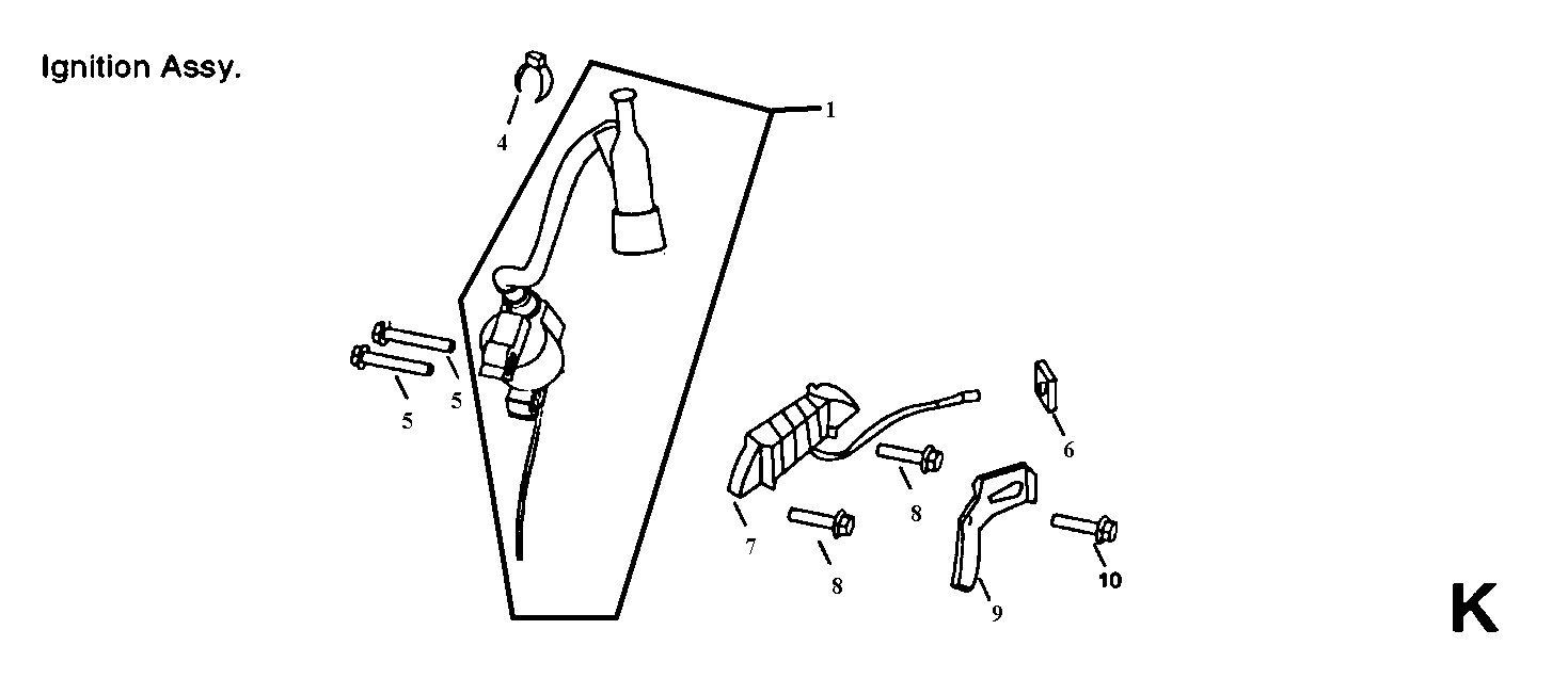 Ignition assy