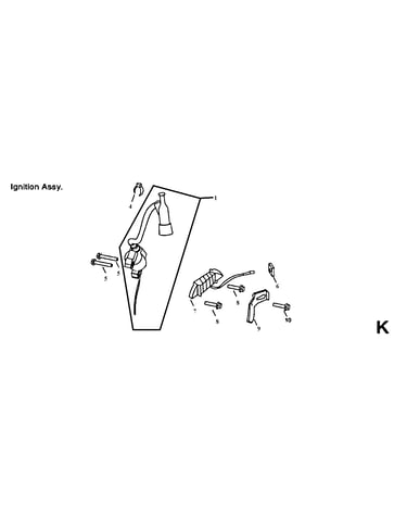 Ignition assy