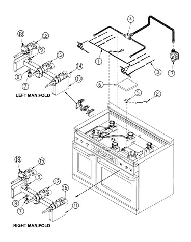 Manifold