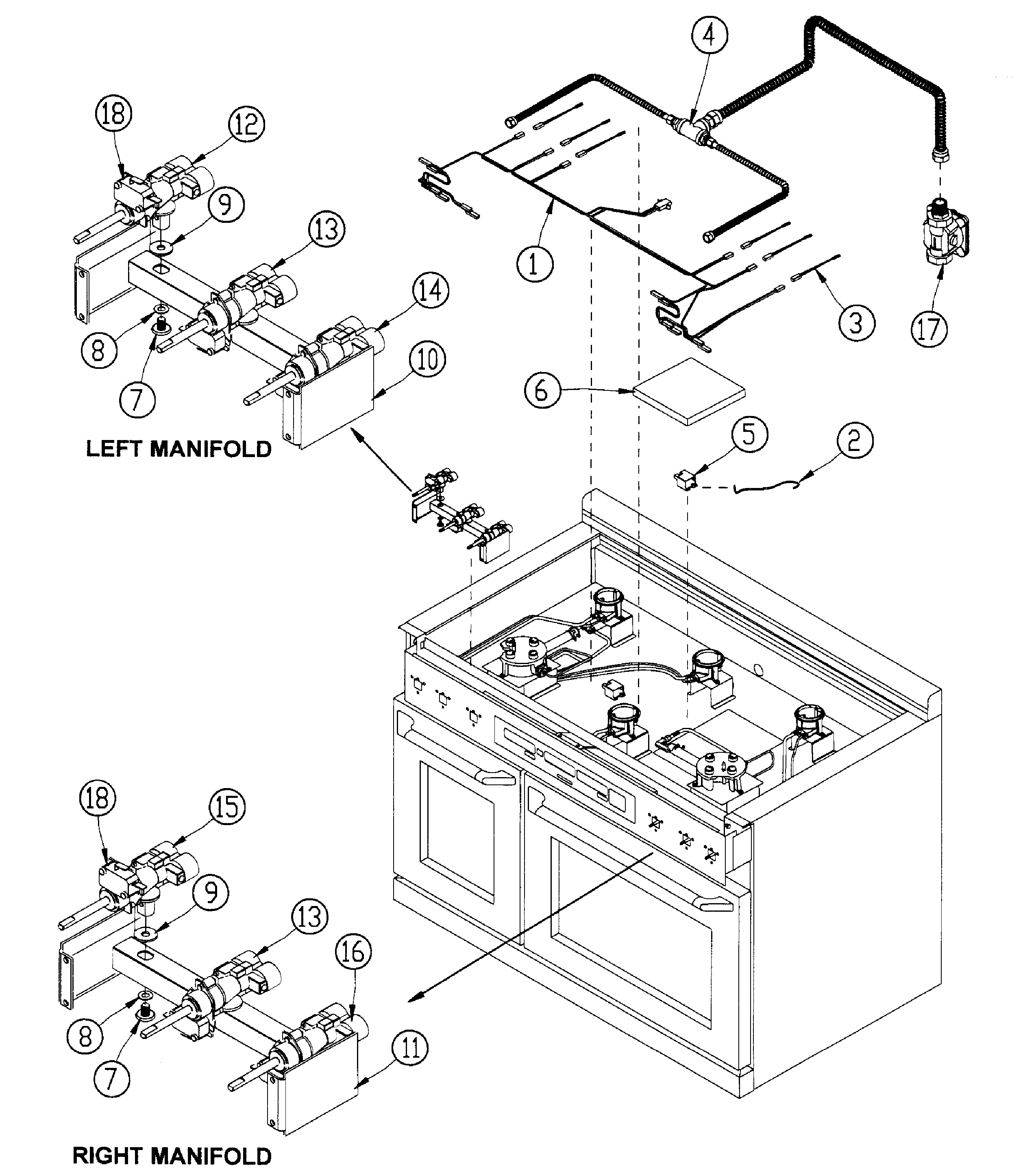 Manifold