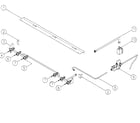 Dacor ERD48NG manifold diagram