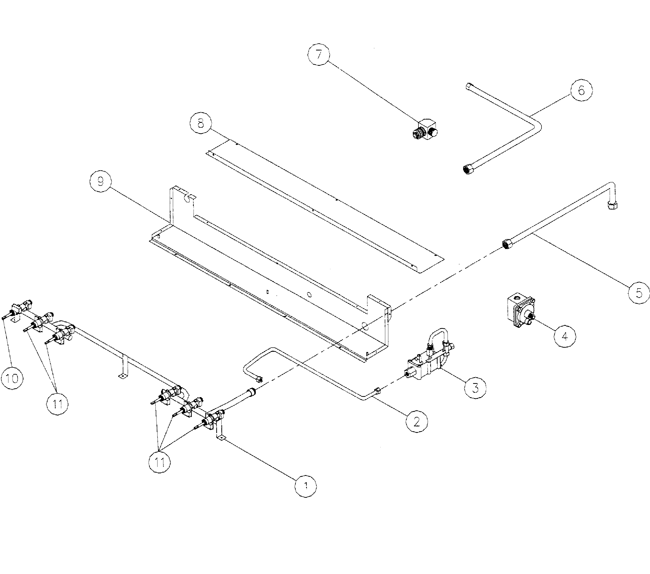 Manifold