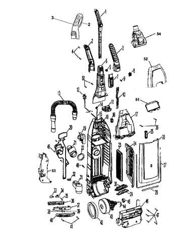 Main body
