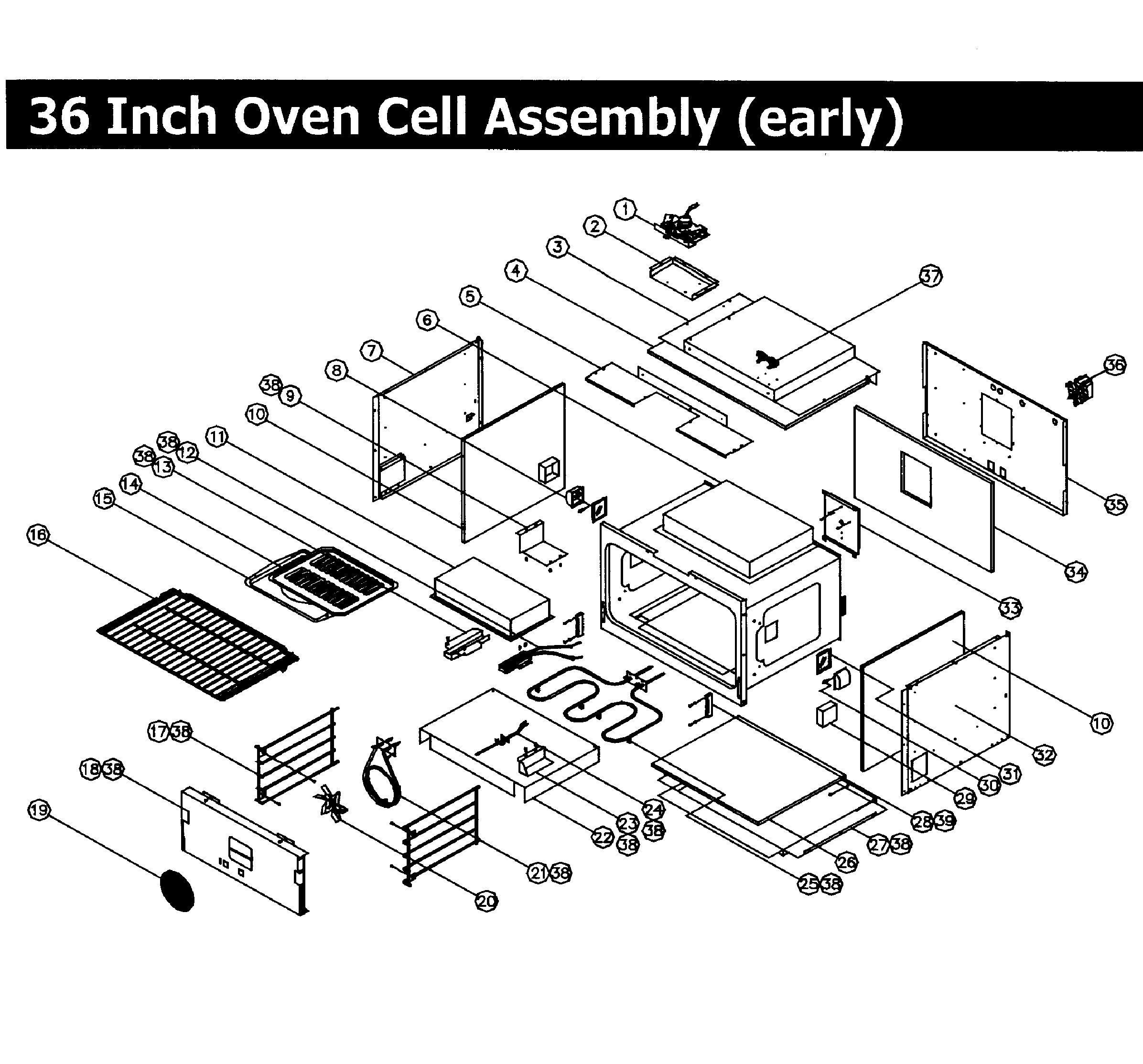 CELL 36,EARLY