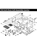 Cell 36,early