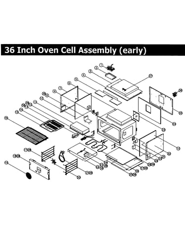 Cell 36,early