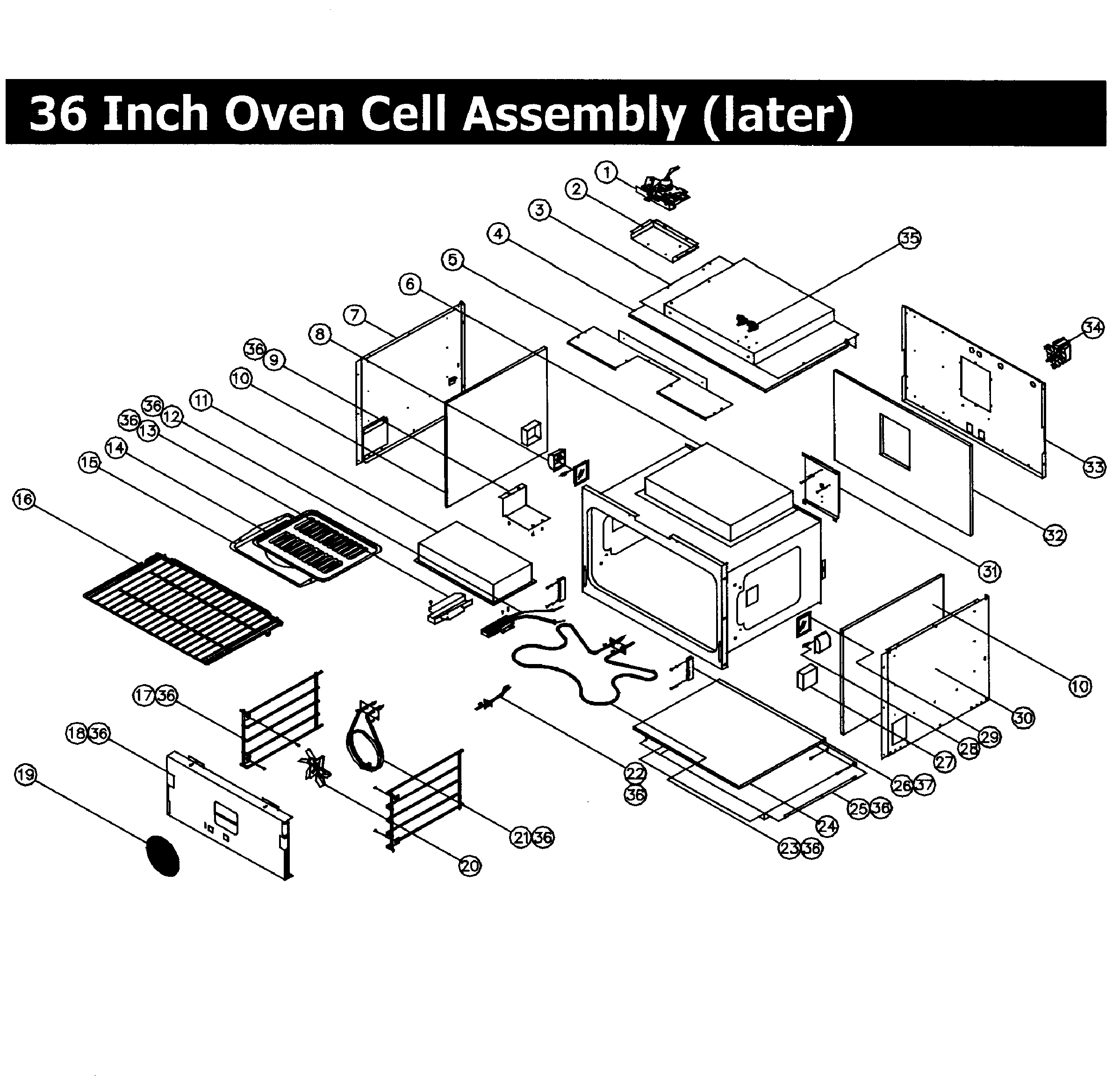 CELL 36,LATER