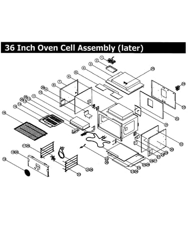 Cell 36,later