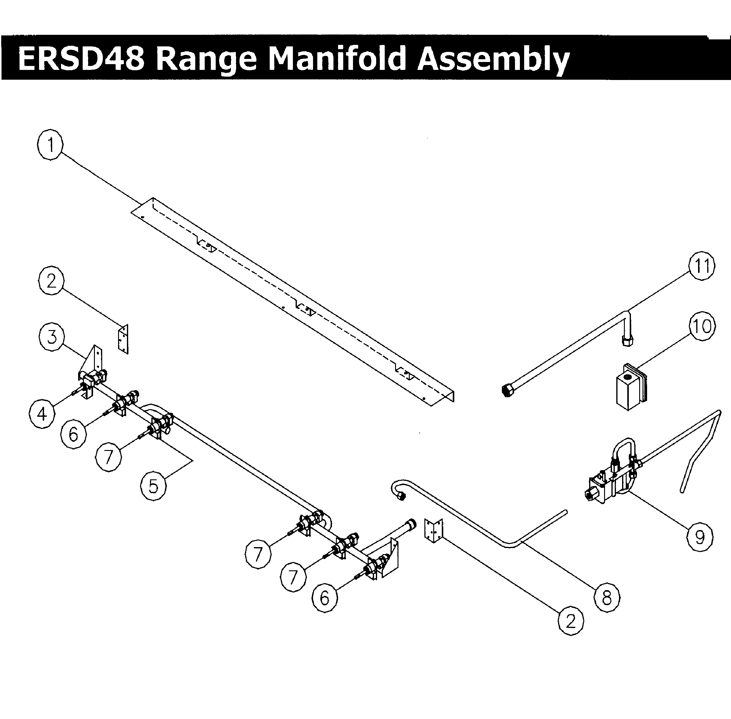 Manifold