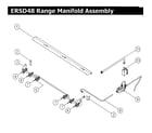 Dacor ERSD48NG manifold diagram