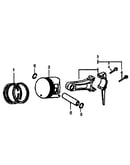 Piston/rod assy