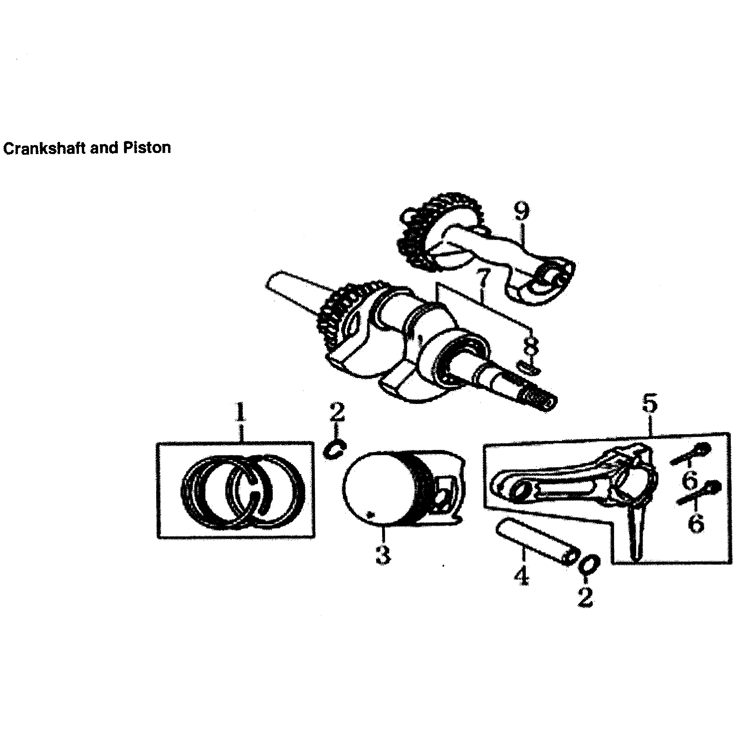 Crankshaft/piston