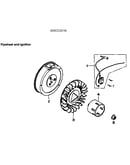 Flywheel/ign
