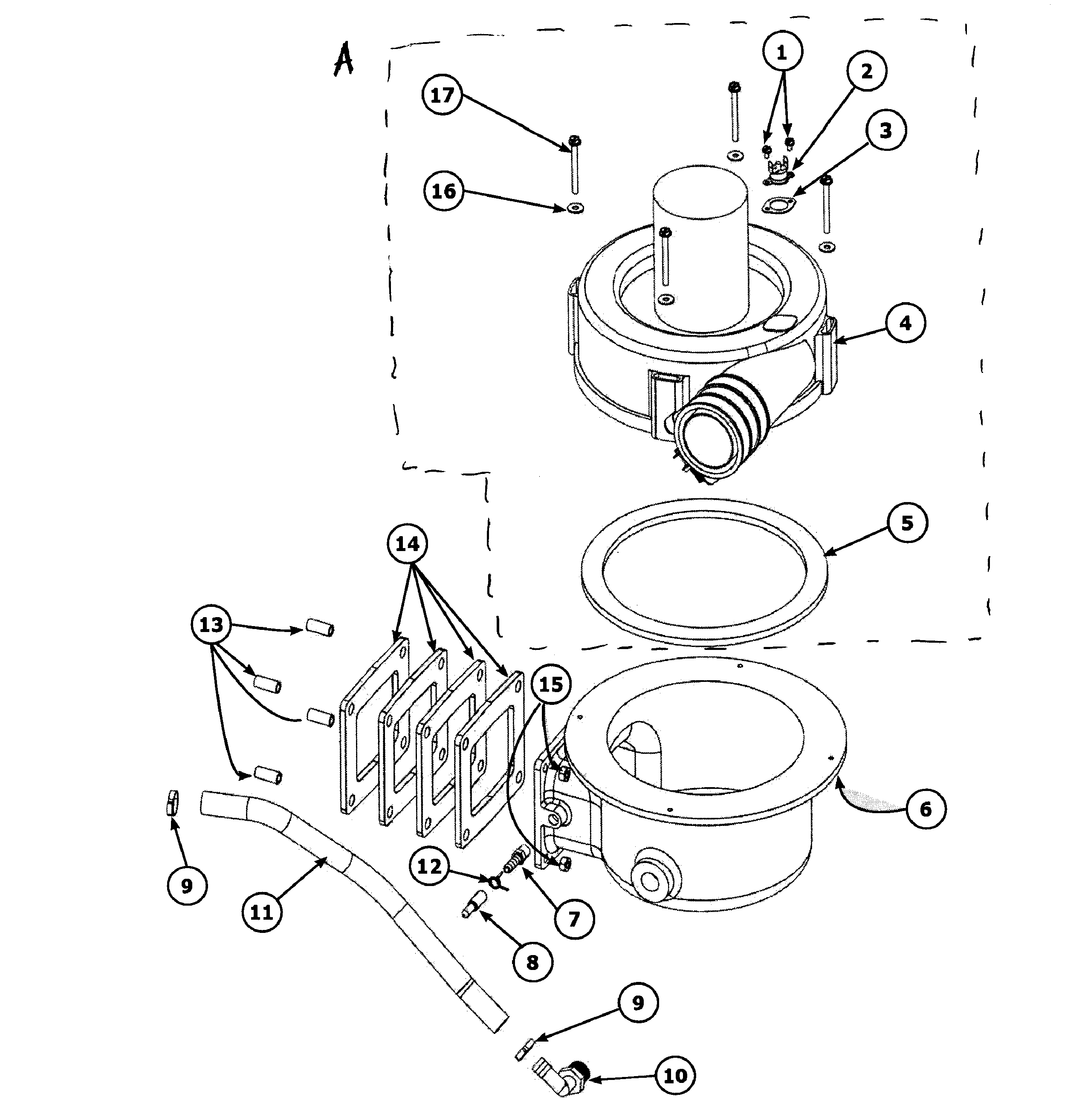Exhaust assy