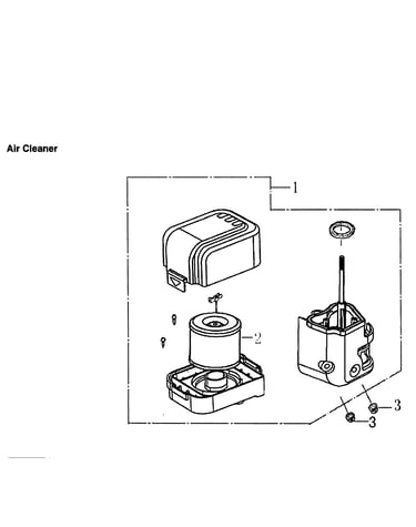 Air cleaner
