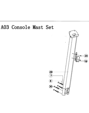 Console mast