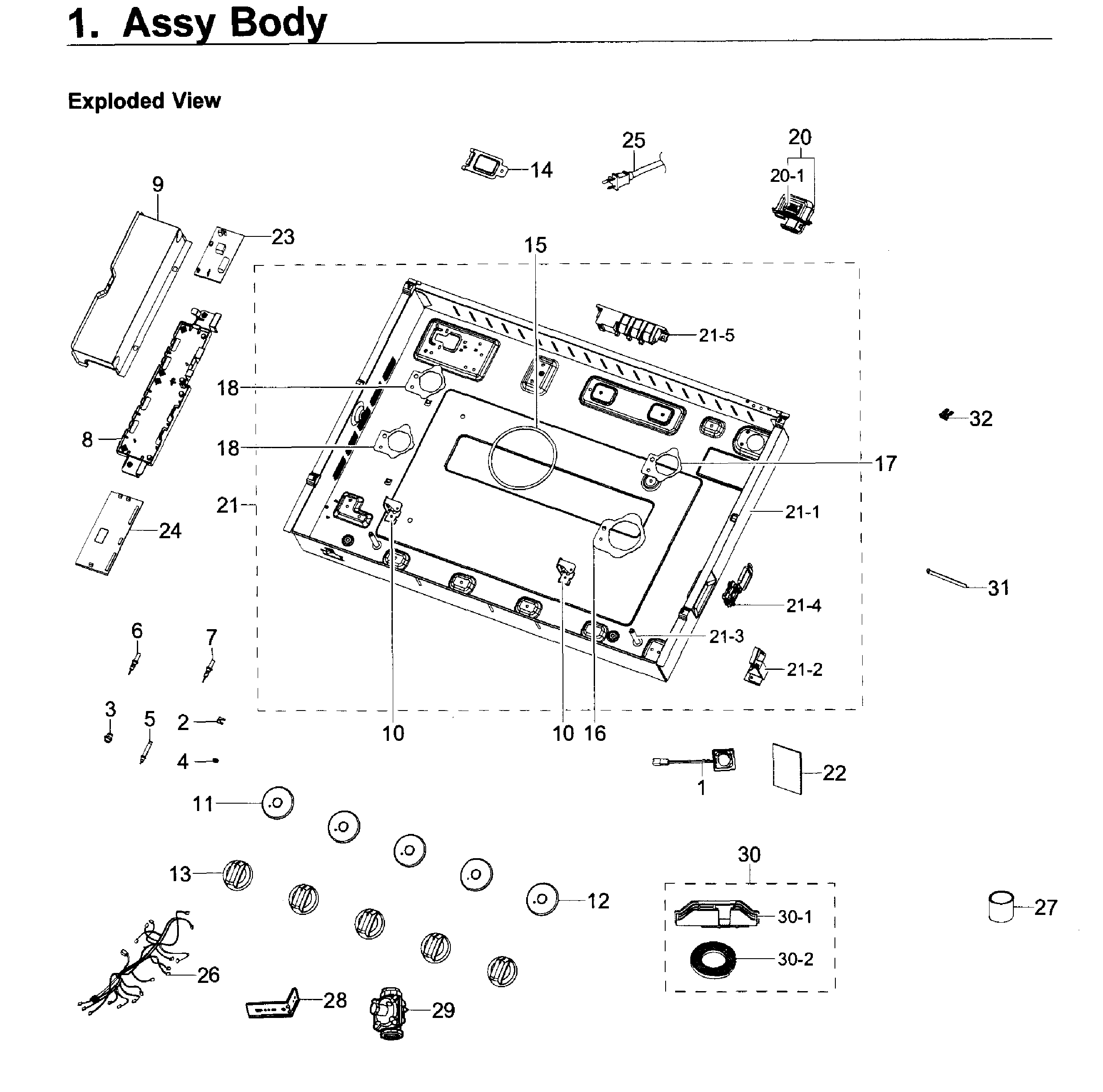 Body