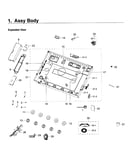 Body