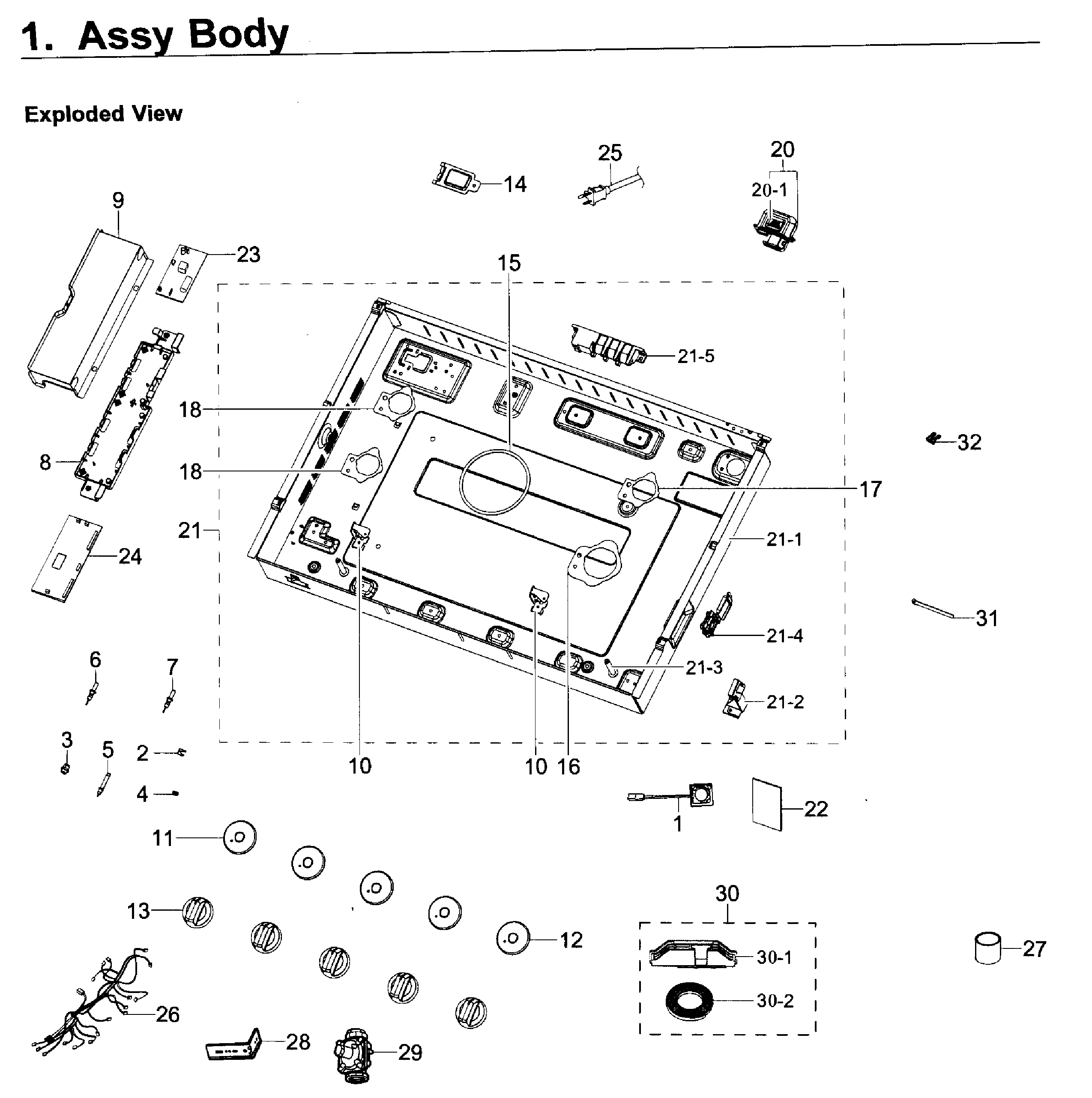 Body