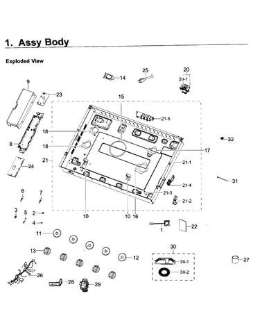 Body