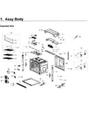 Body