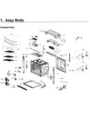 Body