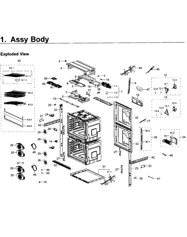 Body