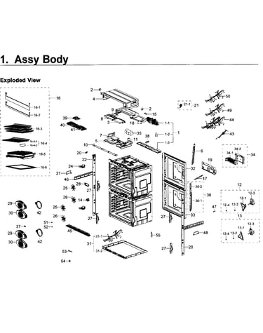 Body