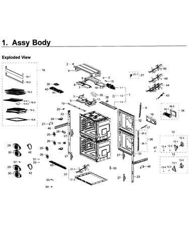Body