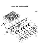 Manifold