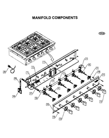 Manifold