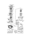 Wet/dry vacuum
