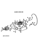 Blower and drive assembly
