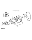 Blower and drive assembly