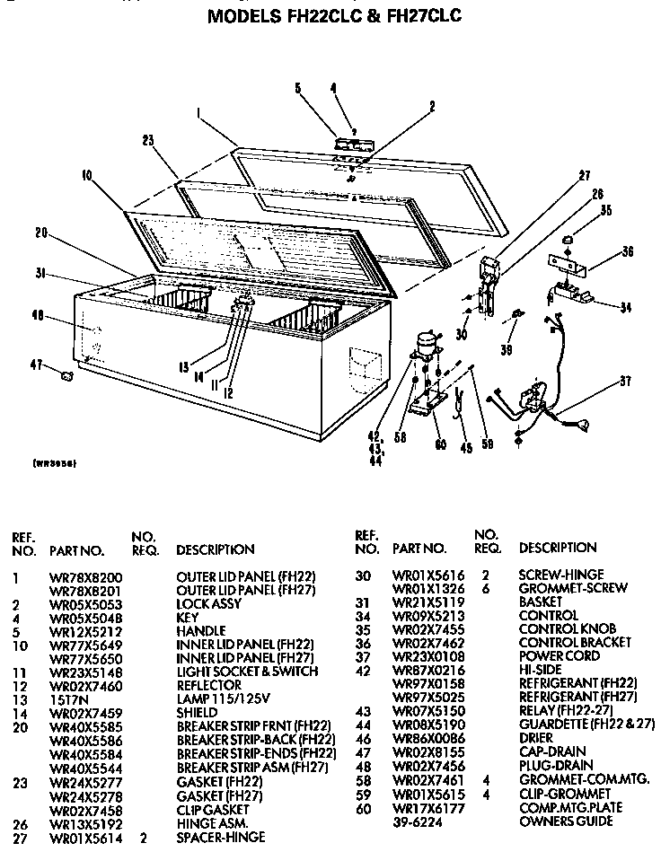 Freezer section