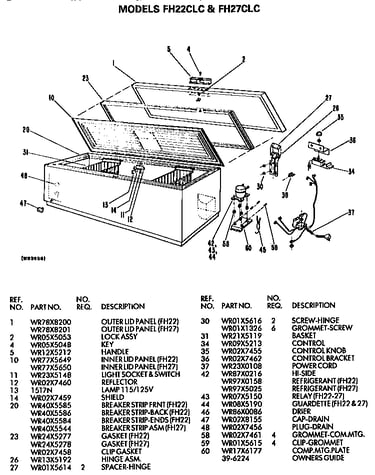Freezer section