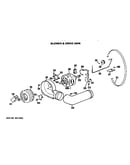 Blower and drive assembly