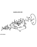 Blower and drive assembly