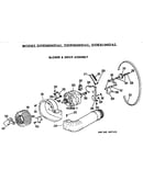 Blower and drive assembly