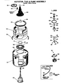 Agitator/tub and pump assembly