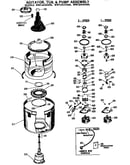 Agitator/tub and pump assembly