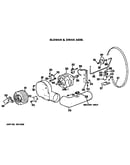 Blower and drive assembly