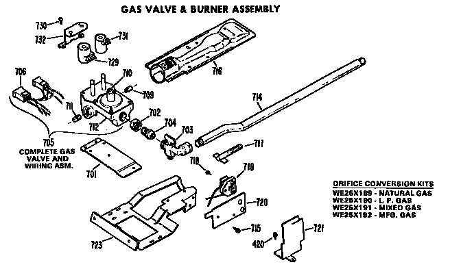 GAS VALVE AND BURNER ASSEMBLY